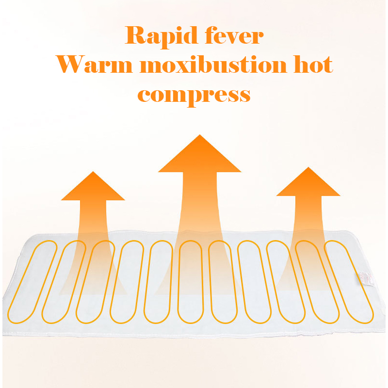 Extra Large Electric Heating P - مراجعة Electric Blanket Heated وسعره